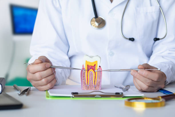 Best Weekend Emergency Dental Services in The College Of New Jersey, NJ